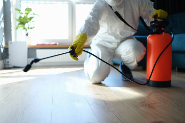 Reliable Odor Removal contractor in Greenville, TX by Trauma Clean Pros
